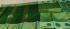 SAREES KPM SILK WITH BLOUSE